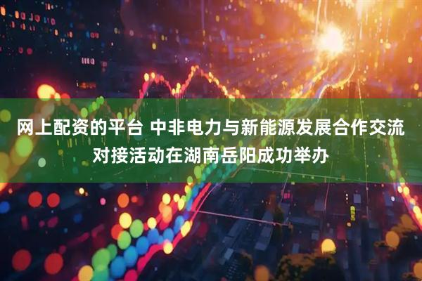 网上配资的平台 中非电力与新能源发展合作交流对接活动在湖南岳阳成功举办